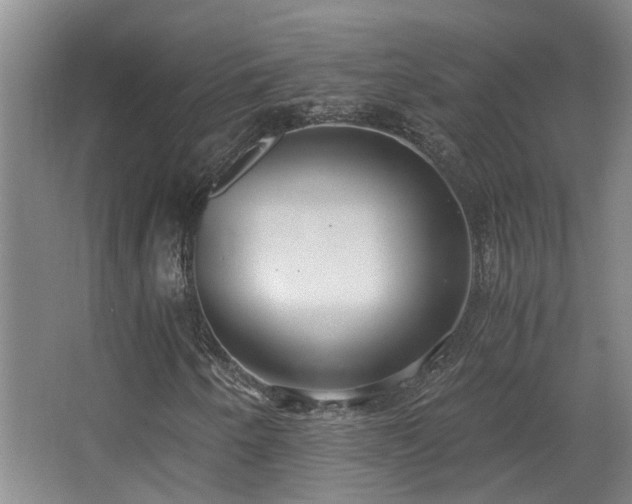 X0000068311250200604241354