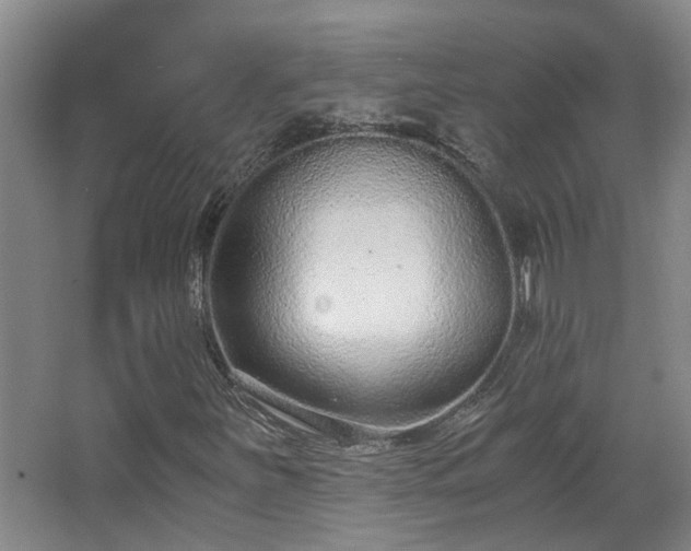 X0000068311251200604241354