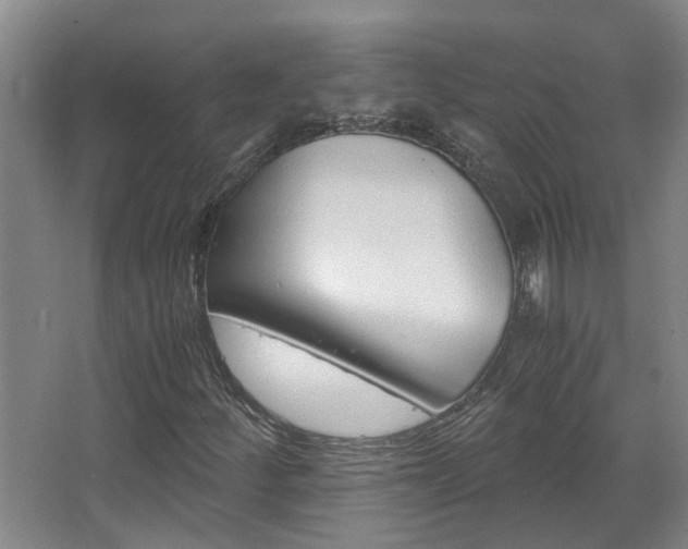 X0000068311252200604241354