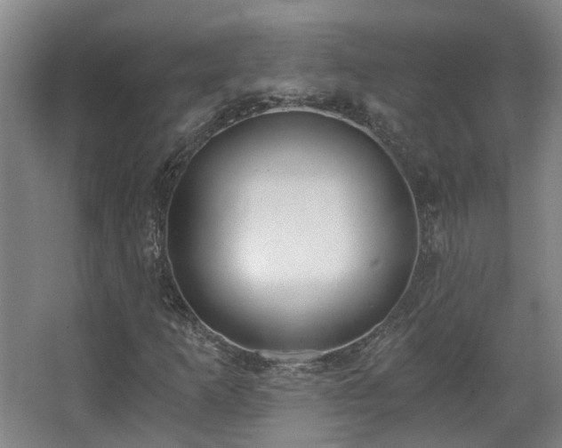 X0000068311253200604241354