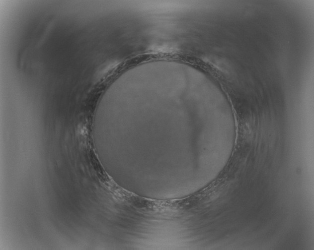 X0000068311254200604241354