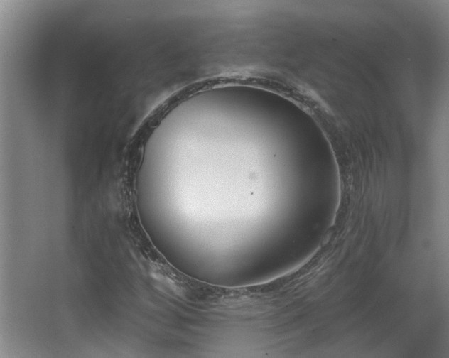 X0000068311256200604241354