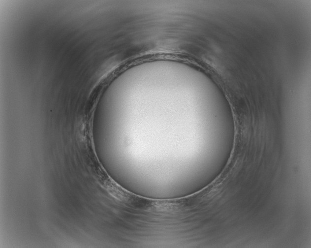 X0000068311258200604241354