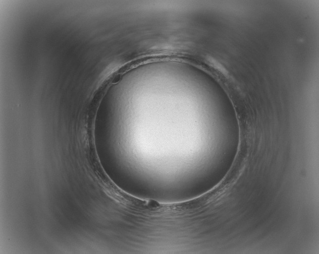 X0000068311259200604241354