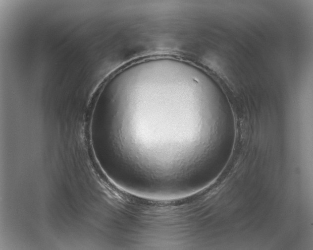 X0000068311260200604241354