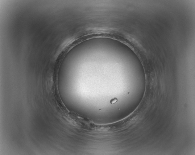 X0000068311261200604241354