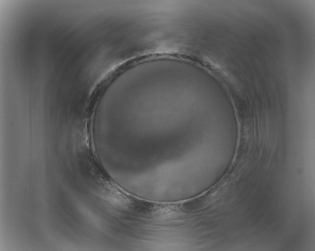 X0000068311262200604241354