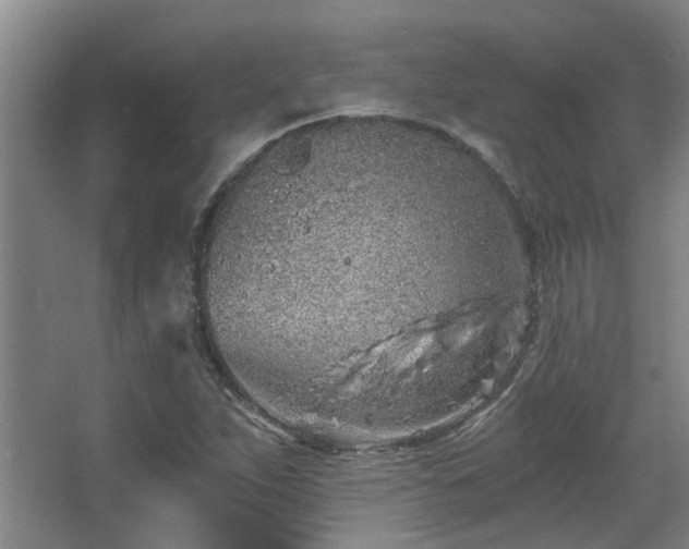 X0000068311263200604241354