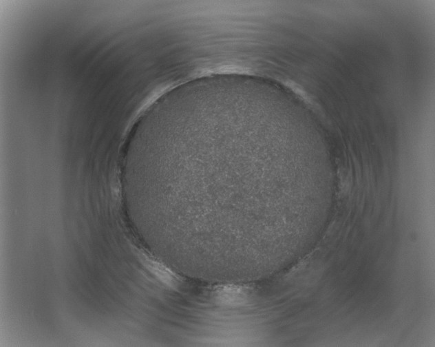 X0000068311266200604241354