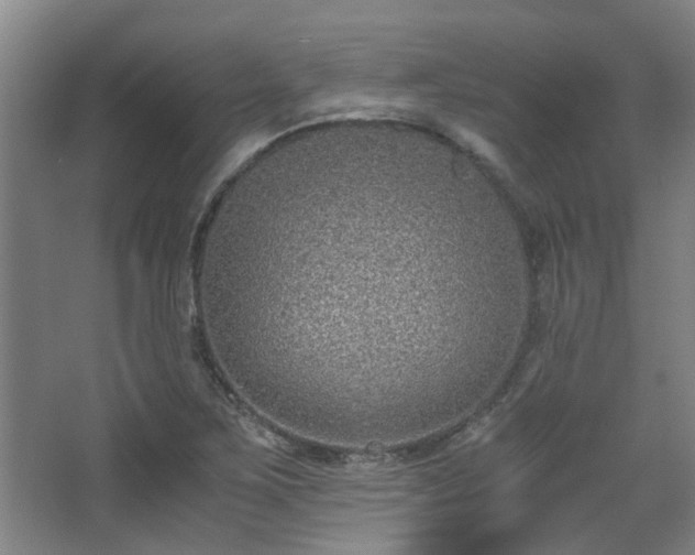 X0000068311267200604241354