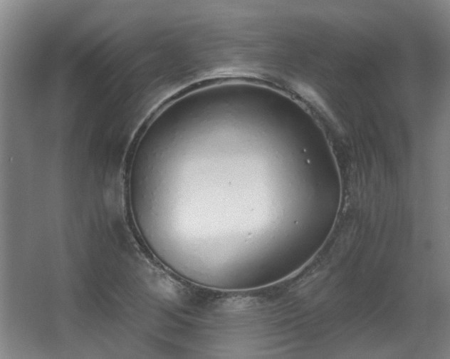 X0000068311268200604241354