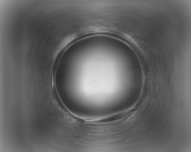 X0000068311269200604241354