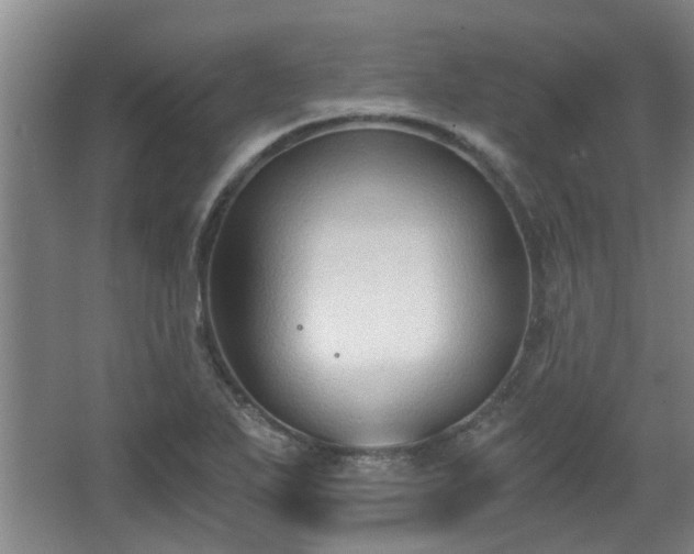 X0000068311271200604241354