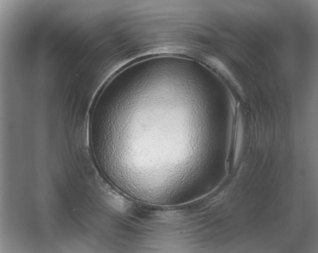 X0000068311276200604241353