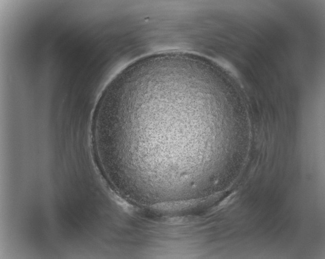 X0000068311279200604241353