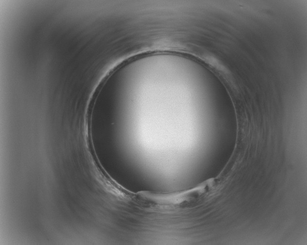 X0000068311280200604241353