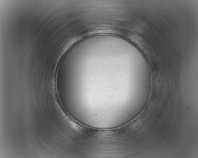 X0000068311282200604241353