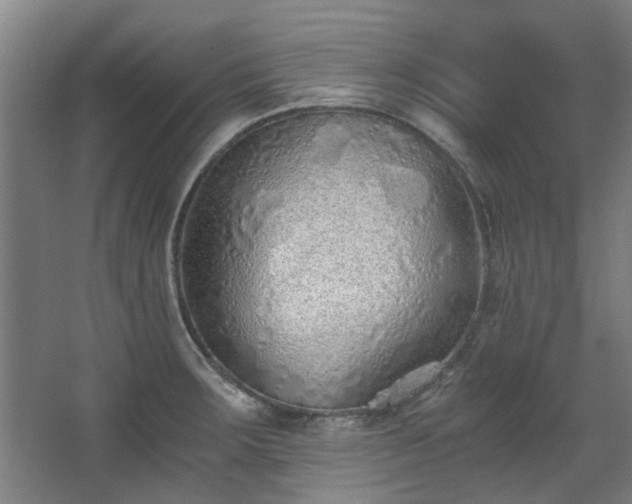 X0000068311283200604241353