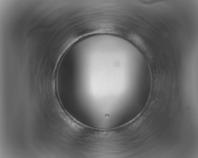 X0000068311284200604241353