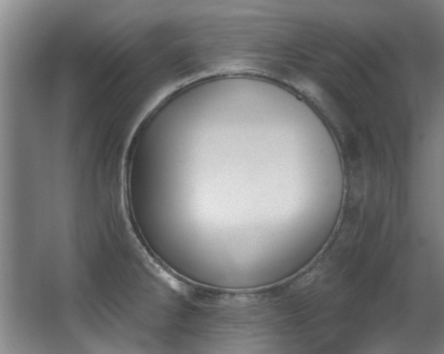 X0000068311286200604241353