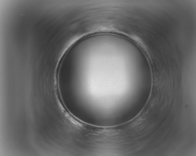 X0000068311287200604241353