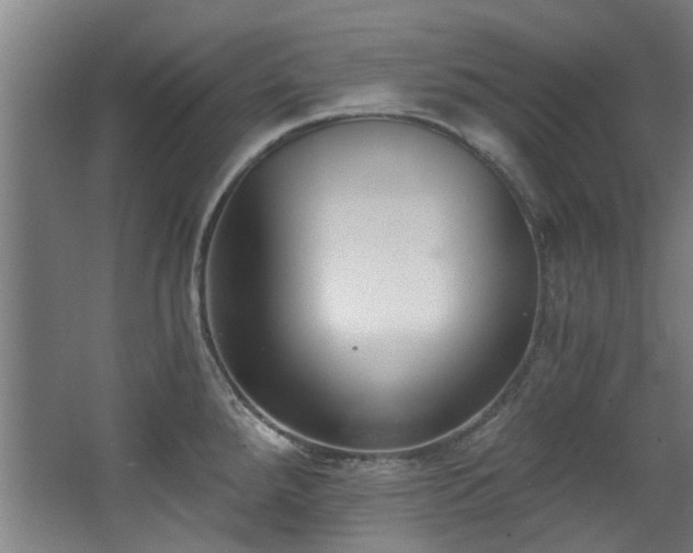 X0000068311288200604241353