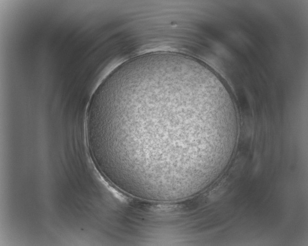 X0000068311290200604241353