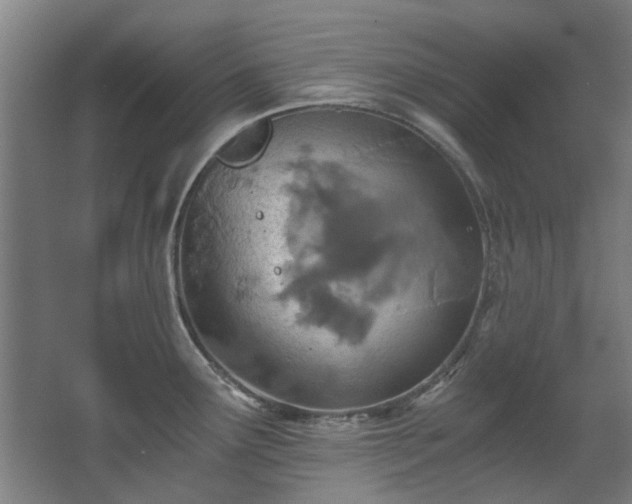 X0000068311291200604241353