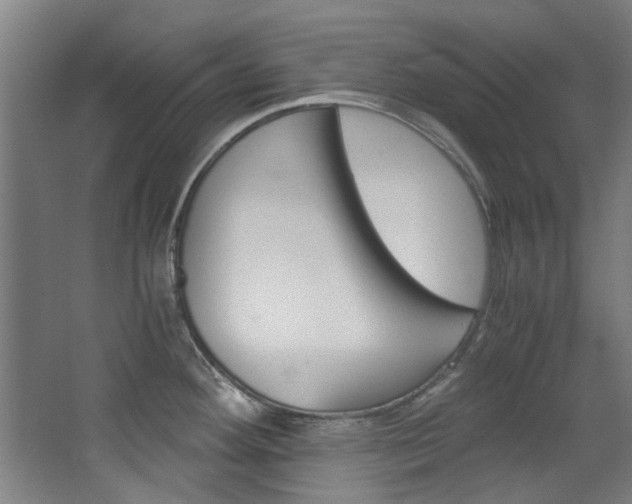 X0000068311292200604241353