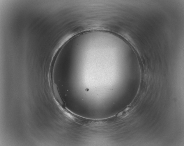 X0000068311293200604241353