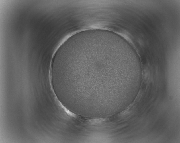 X0000068311294200604241353