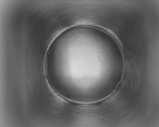 X0000068311295200604241353