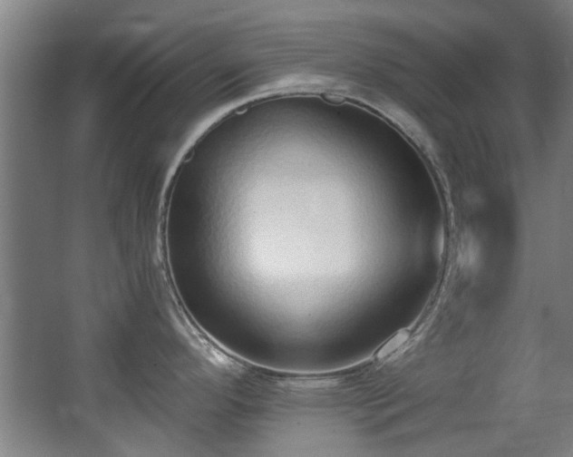 X0000068311296200604241353