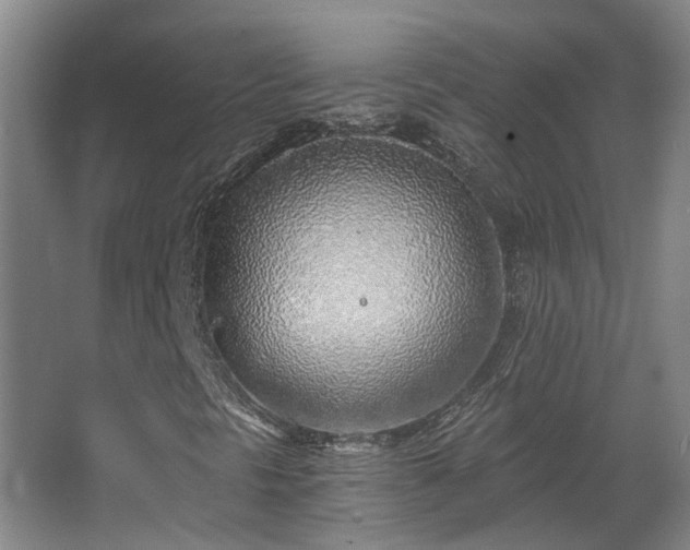 X0000068311297200604241352