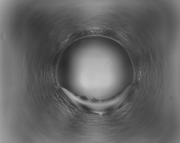 X0000068311298200604241352