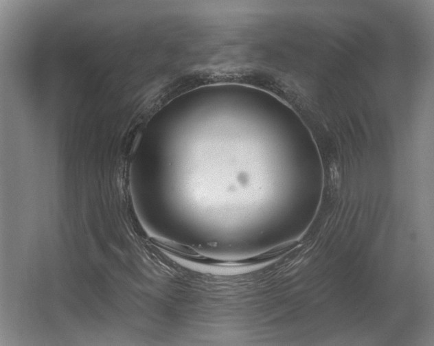 X0000068311300200604241352