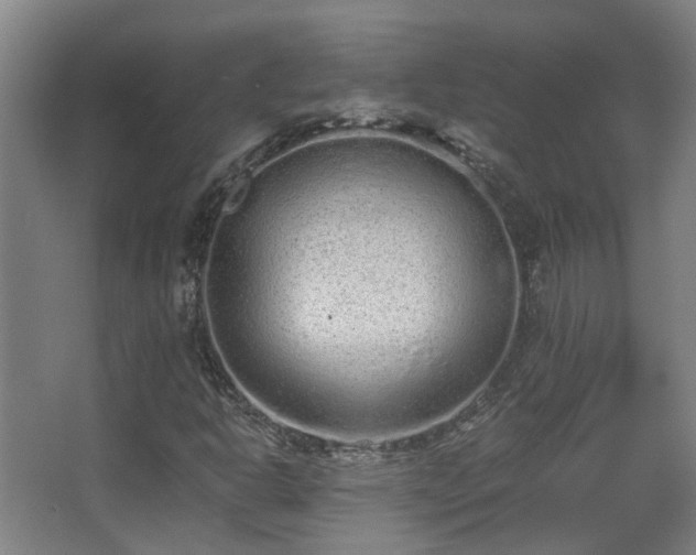 X0000068311302200604241352