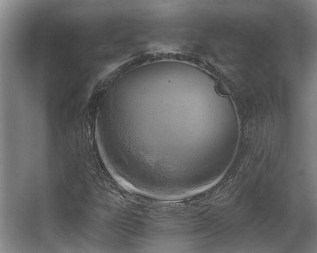 X0000068311303200604241352