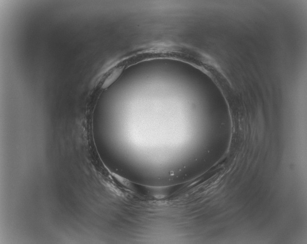 X0000068311304200604241352