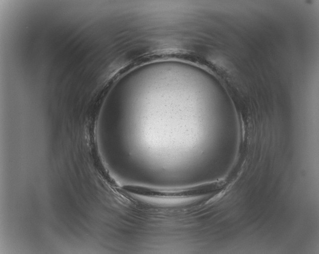 X0000068311305200604241352