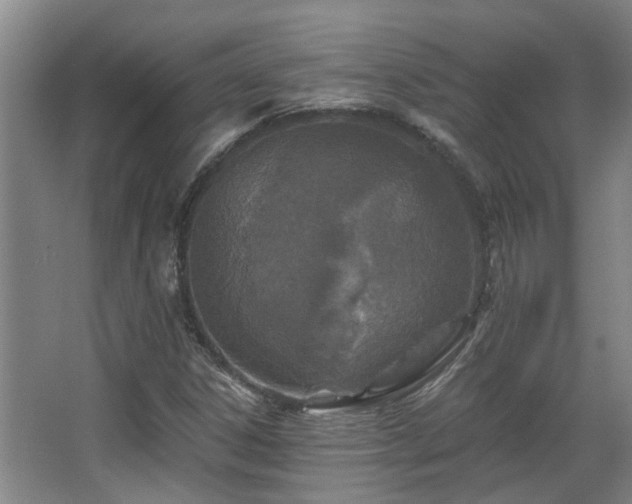 X0000068311306200604241352