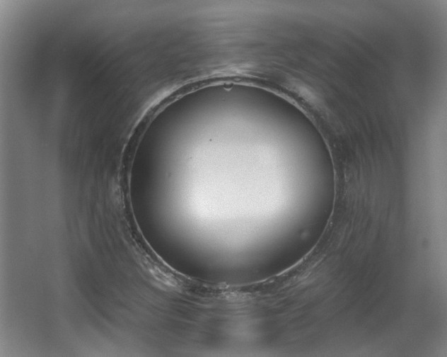 X0000068311308200604241353