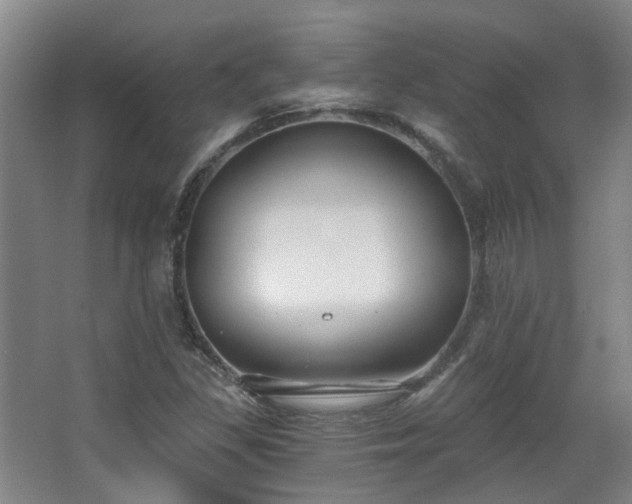 X0000068311309200604241353