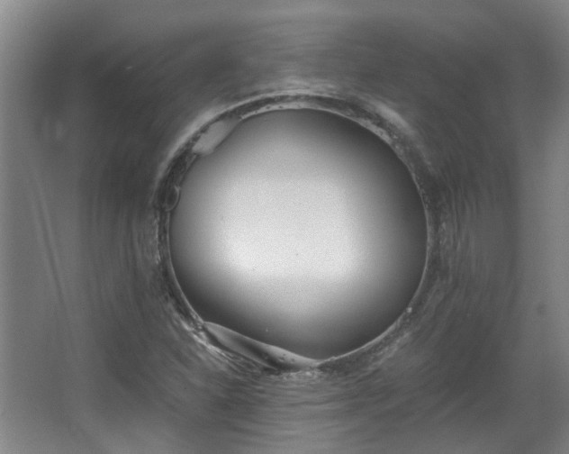 X0000068311310200604241353