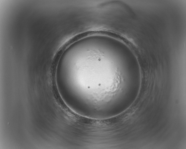 X0000068311311200604241353