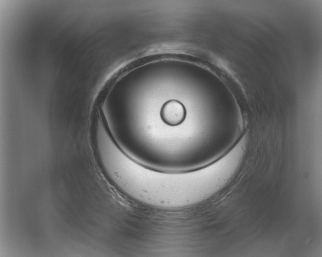 X0000068311312200604241353