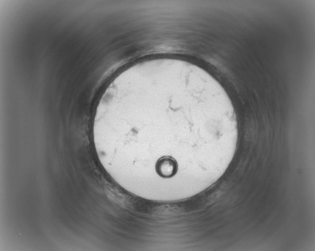 X0000068311314200604241353