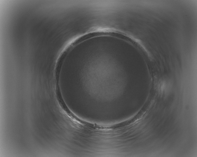 X0000068311319200604241353