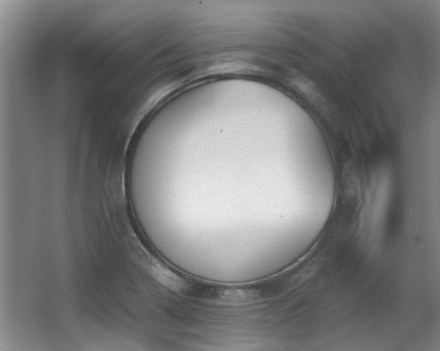 X0000068311322200604241353