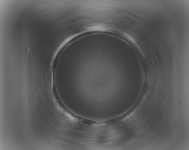 X0000068311323200604241353